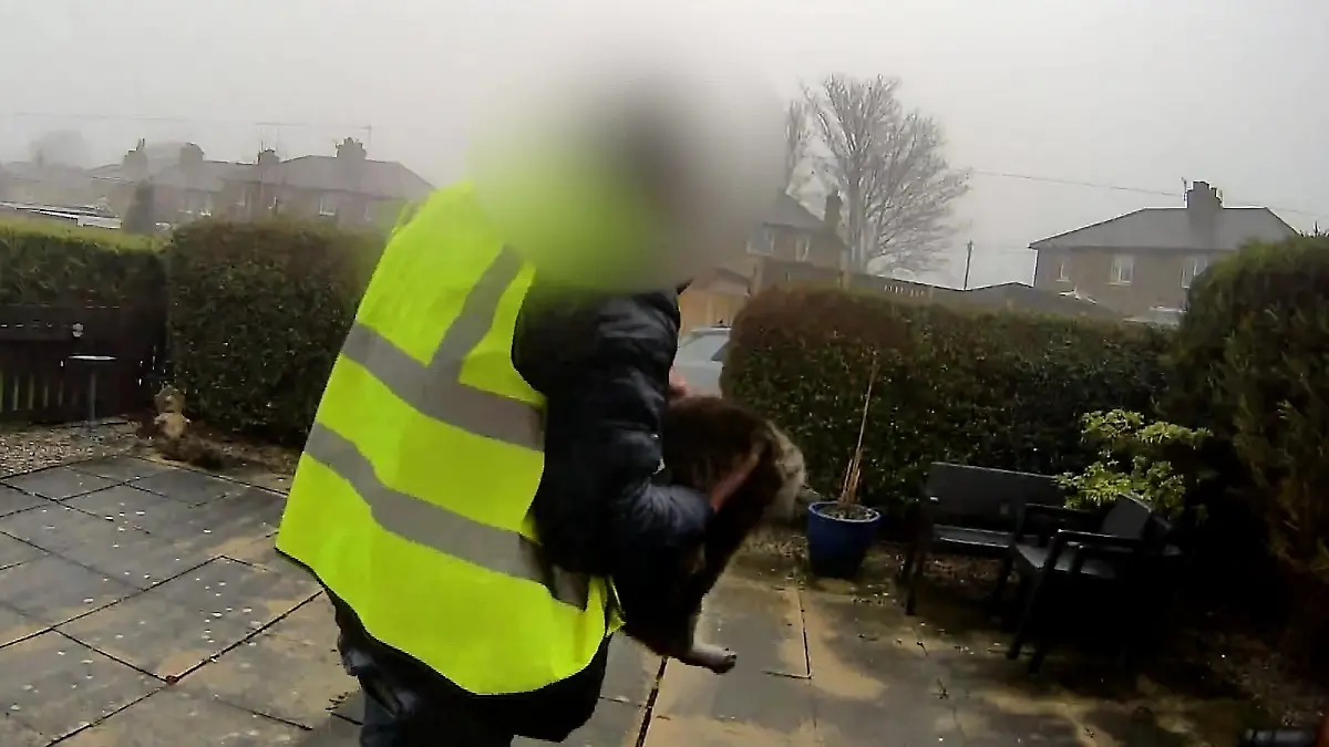 Amazon-Lieferant entführt Katze.