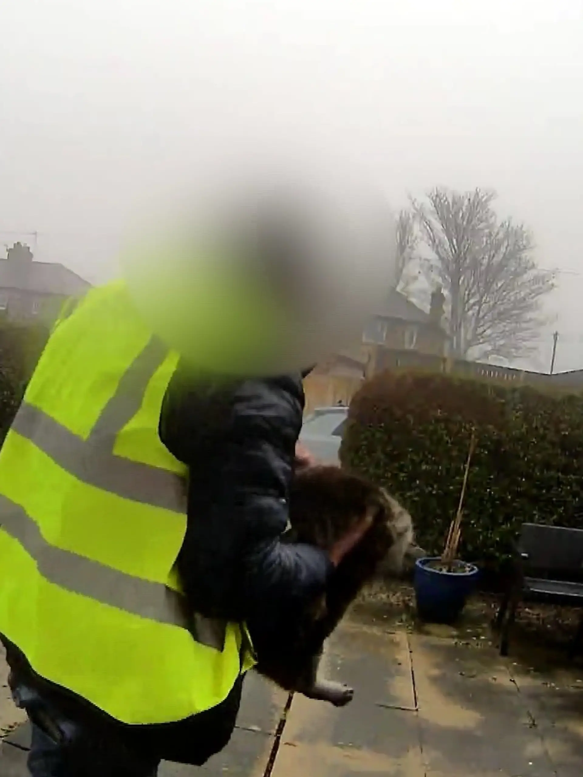Bild zu: "Vor laufender Kamera! Amazon-Lieferant klaut offenbar Katze"