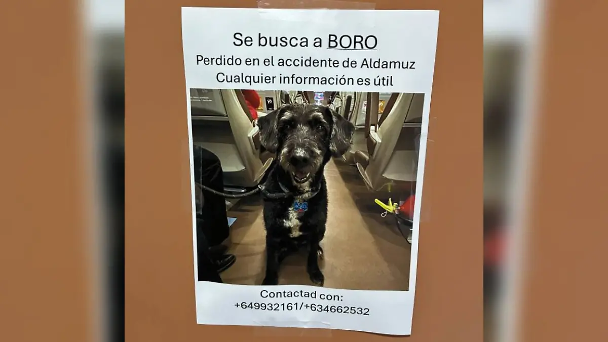 Mit diesen Plakaten wurde nach Boro gesucht.