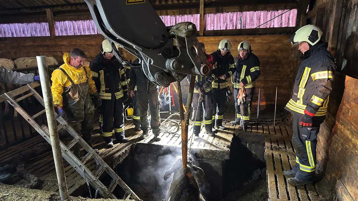 Mit einem großen Aufgebot wird die Kuh gerettet.