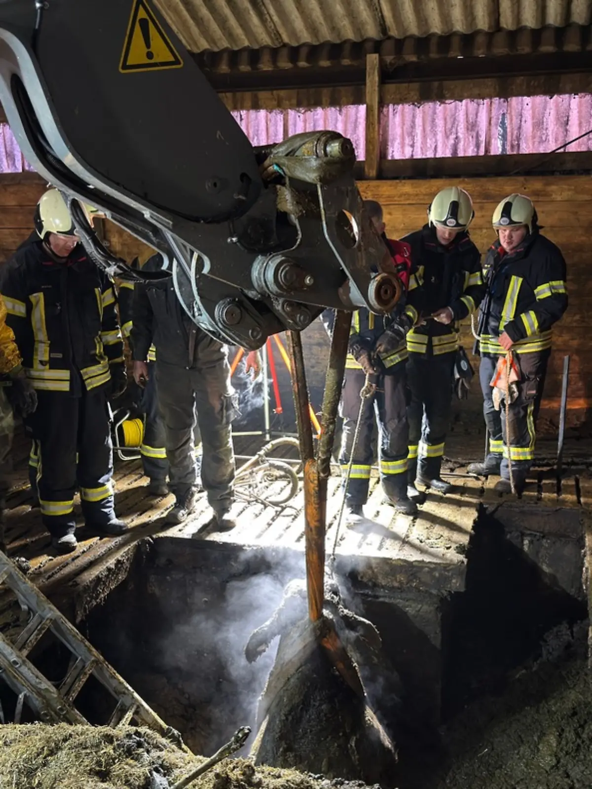 Bild zu: "Kuh steckt bis zum Hals in Gülle"