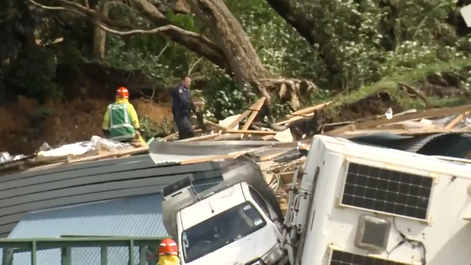New Zealand Landslide