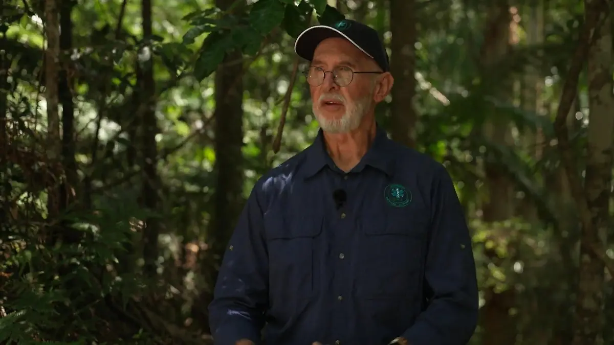 Temperaturen über 40 Grad! Bedroht eine Hitzewelle das Dschungelcamp? Dr. Bob schätzt die Lage ein