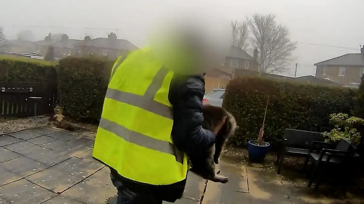 Dreister Diebstahl vor laufender Kamera! Amazon-Lieferant klaut Katze Nora Paket da, Haustier weg
