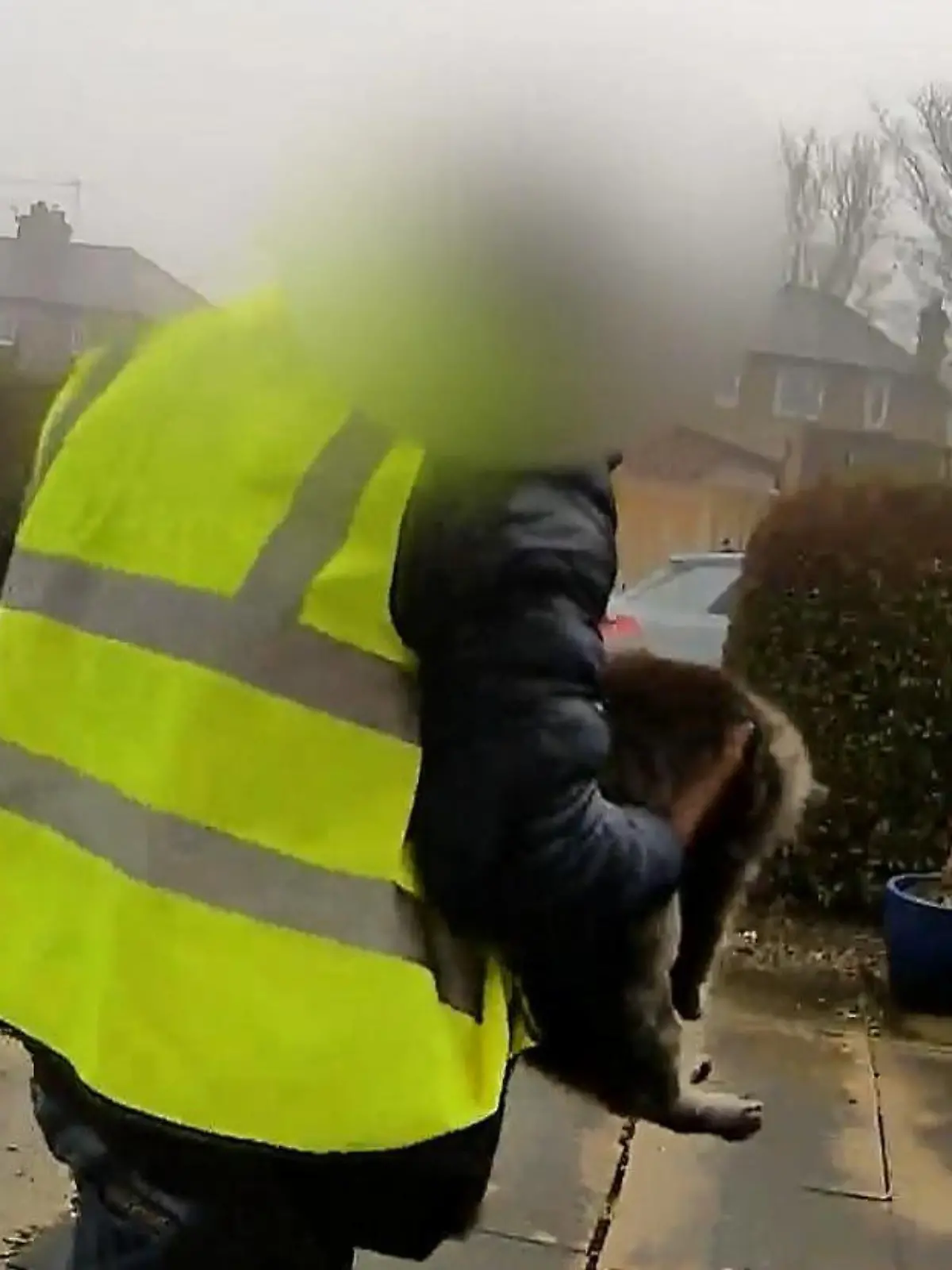 Bild zu: "Dreister Diebstahl vor laufender Kamera! Amazon-Lieferant klaut Katze Nora"