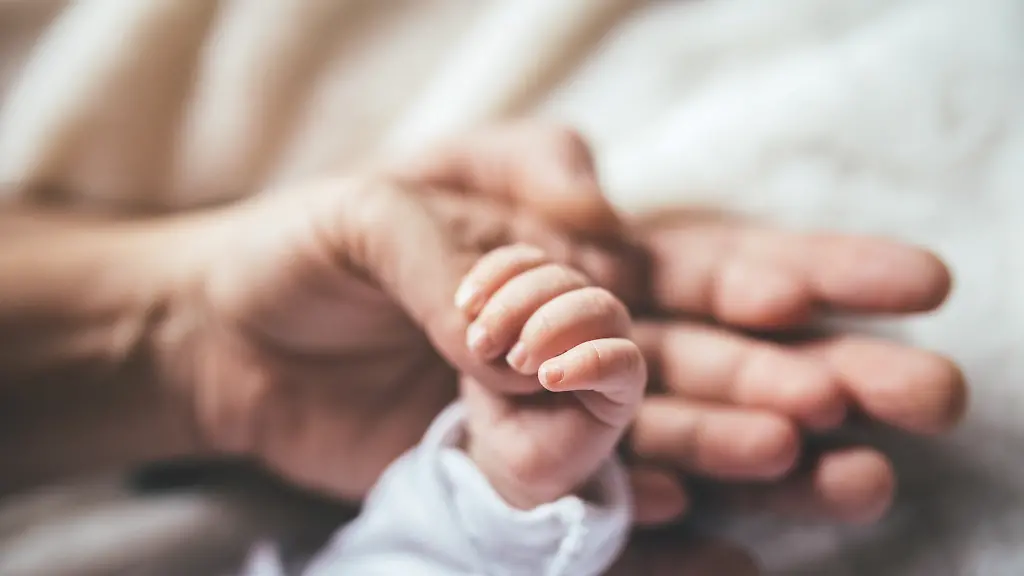 Florida: Verwechslung bei knstlicher Befruchtung  Mutter trgt fremdes  Baby aus