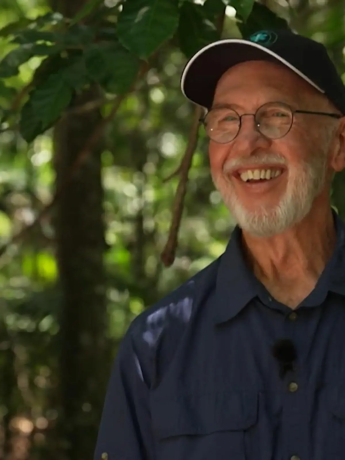 Bild zu: "Dschungelcamper zum Medizincheck, bitte! Dr. Bob prüft unsere Promis auf Herz und Nieren"