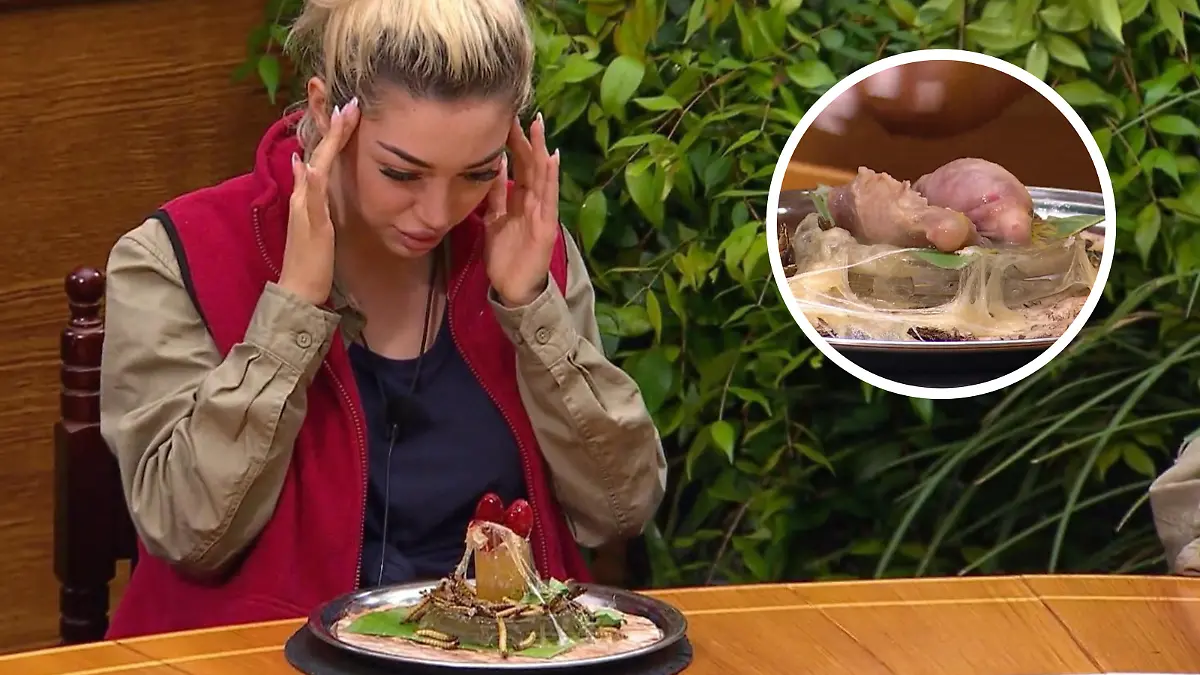 Lecker?! Hier müssen sich die Dschungelcamp-Kandidaten ordentlich durchbeißen Exklusive IBES- Preview