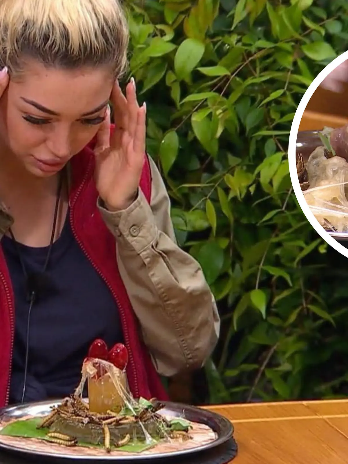 Dschungelprüfung-Preview