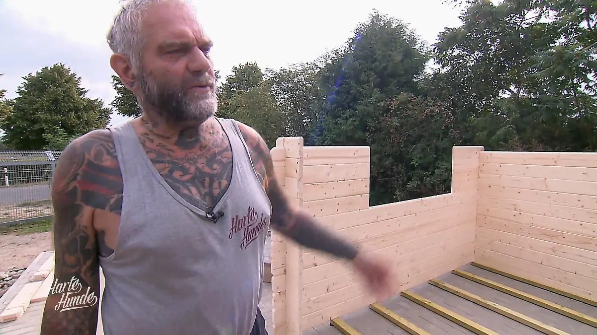 Das Katzenhaus muss neu gebaut werden Neubau für die Katzen