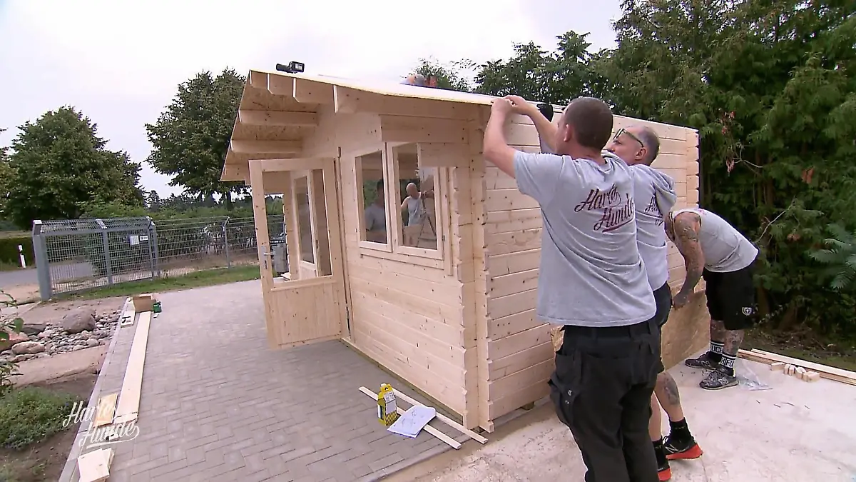 Das Katzenhaus muss fertig werden Endspurt