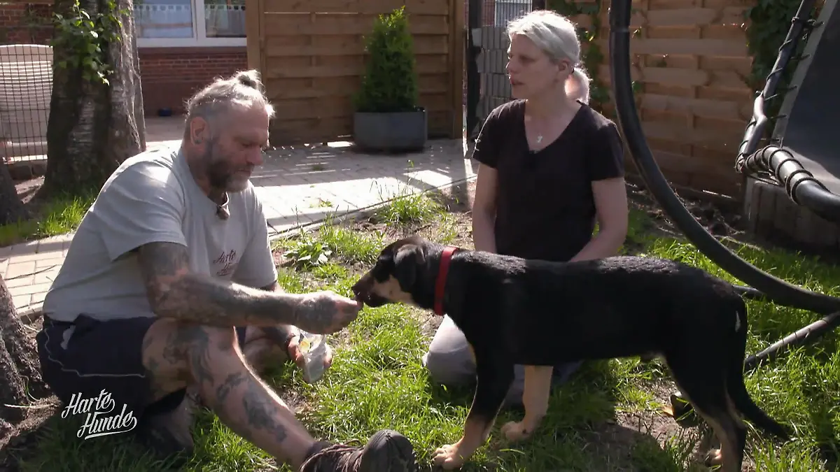 Vorbereitung auf sein neues Zuhause Loki lernt die Welt kennen