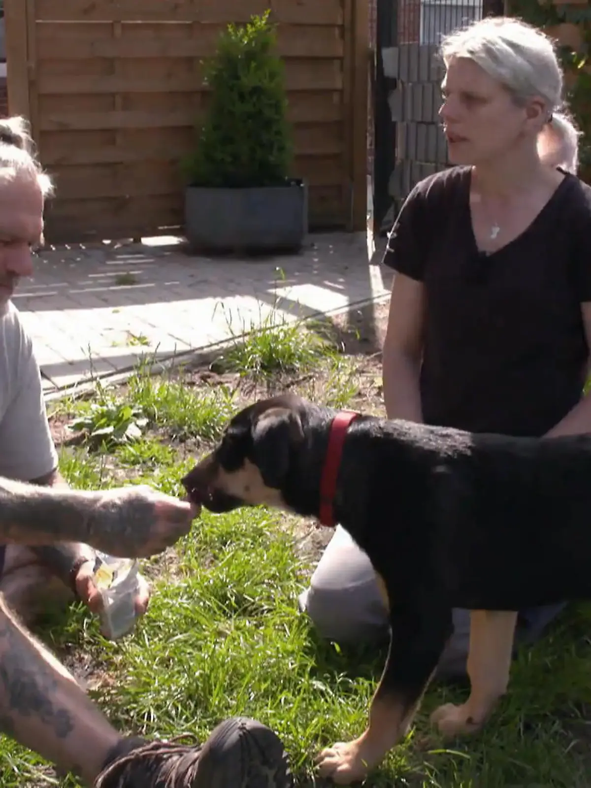 Bild zu: "Vorbereitung auf sein neues Zuhause"