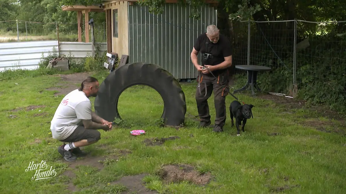 Klaus und Rüde Ruffy gegen die Angst Tierische Baustelle