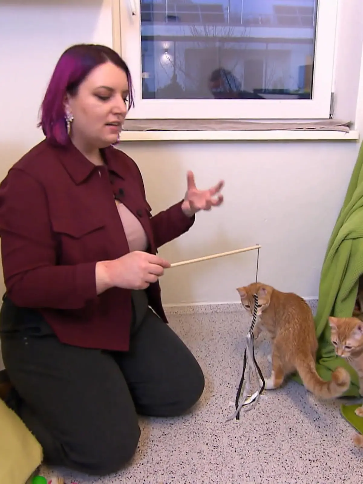 Bild zu: "Coach Miriam macht die Katzen fit"