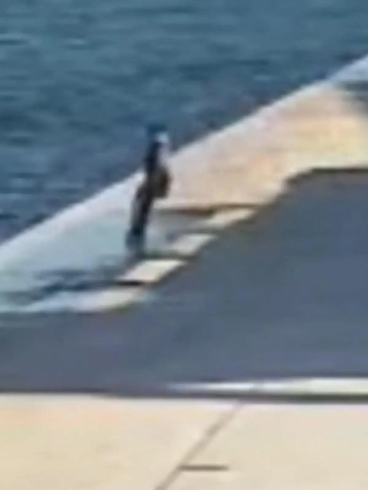 Bild zu: "Junge (13) will vor Freundin angeben – dann bringt er sich in Lebensgefahr!"