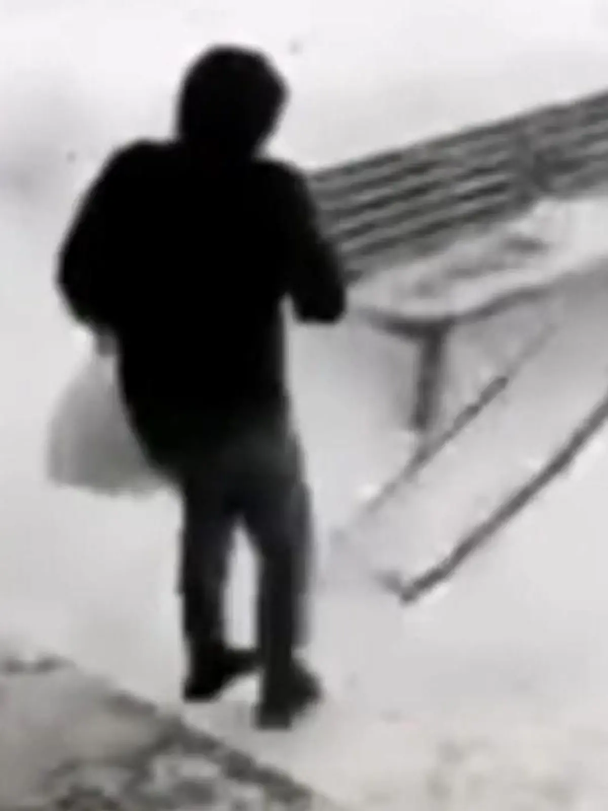 Bild zu: "Fenster fällt vom Himmel! Diese Geste rettet Gentleman das Leben"