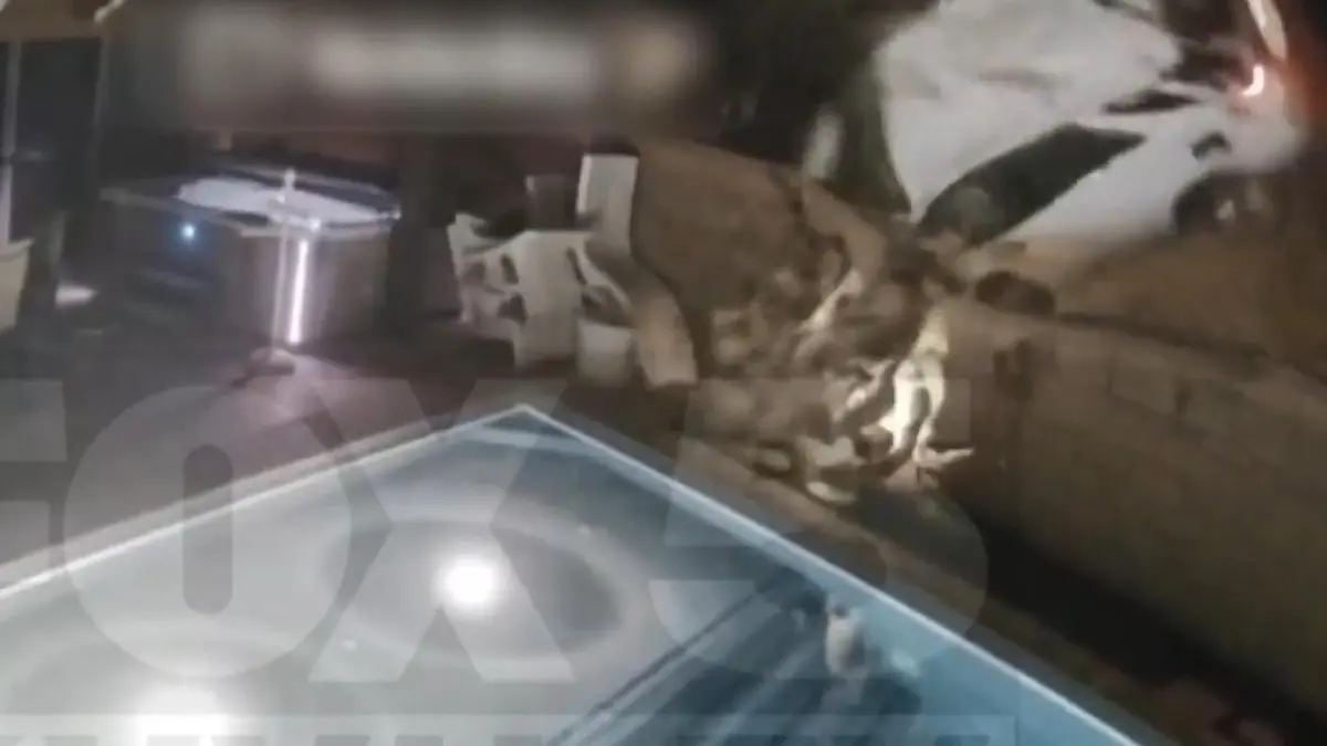 Horror-Crash im Garten! Fahrerin wird aus Auto geschleudert – und landet im Pool Frau verliert Kontrolle über Wagen