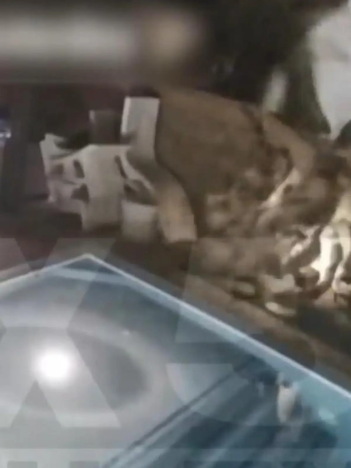 Bild zu: "Horror-Crash im Garten! Fahrerin wird aus Auto geschleudert – und landet im Pool"