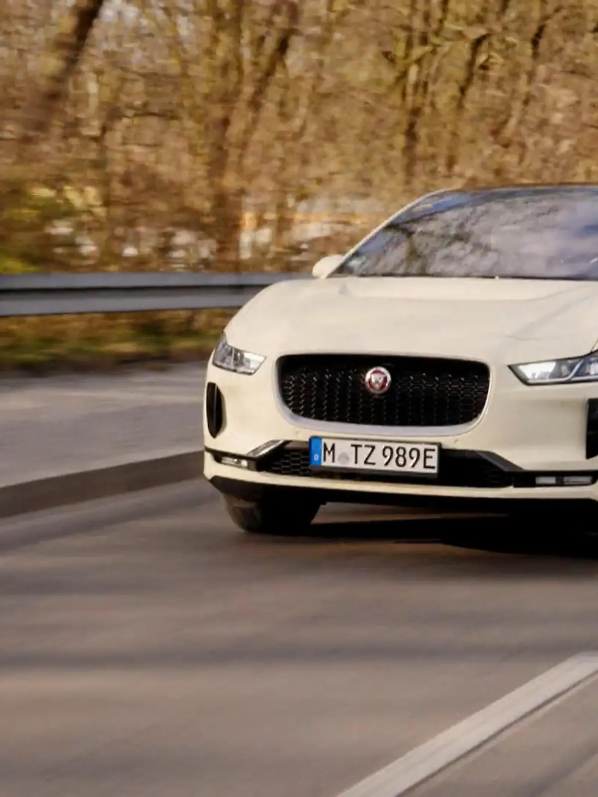 Bild zu: "Jaguar I-PACE von 2018: Wie hoch ist der Verschleiß?"