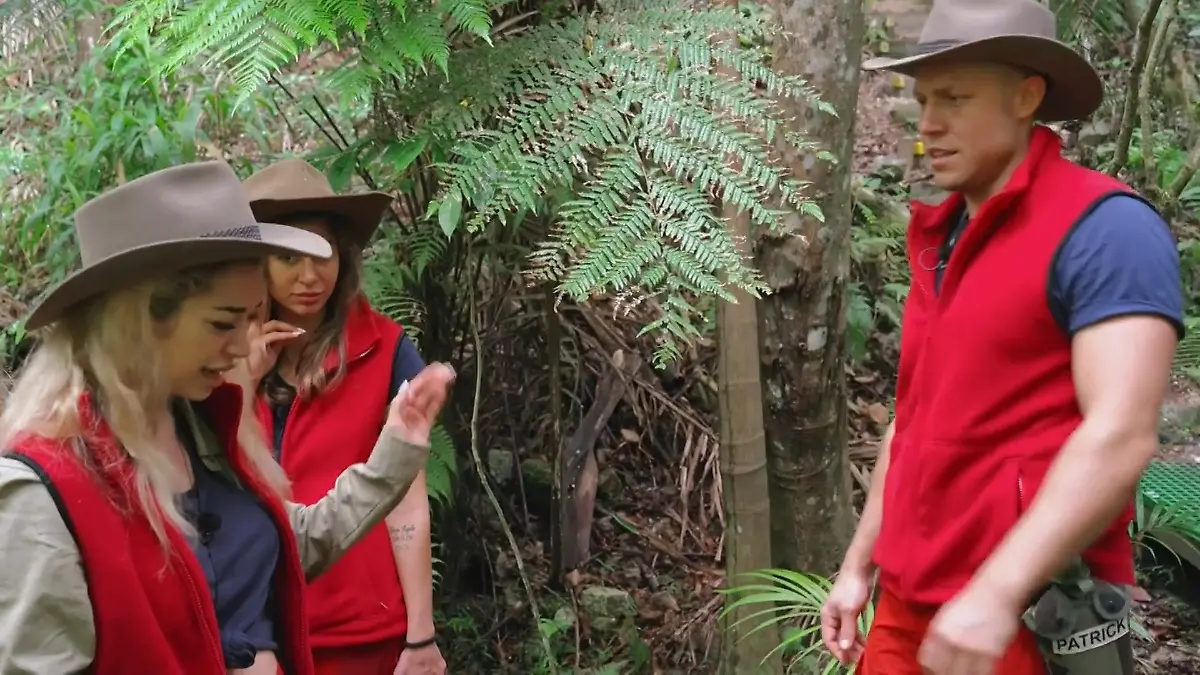 Käfer-Zoff zwischen Dschungelcamp-Stars Ariel und Patrick eskaliert "Du bist ein richtig ekelhafter Mensch"