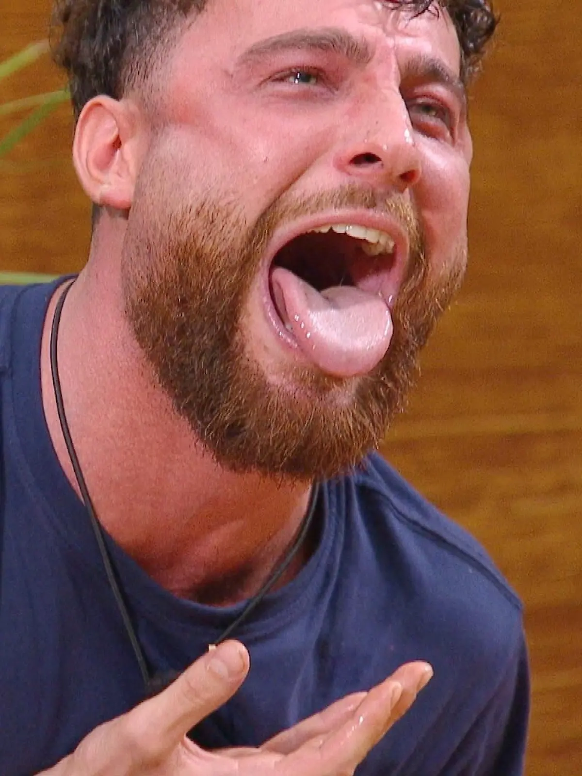 Bild zu: "Die wichtigsten Dschungelcamp-Bilder des Tages"