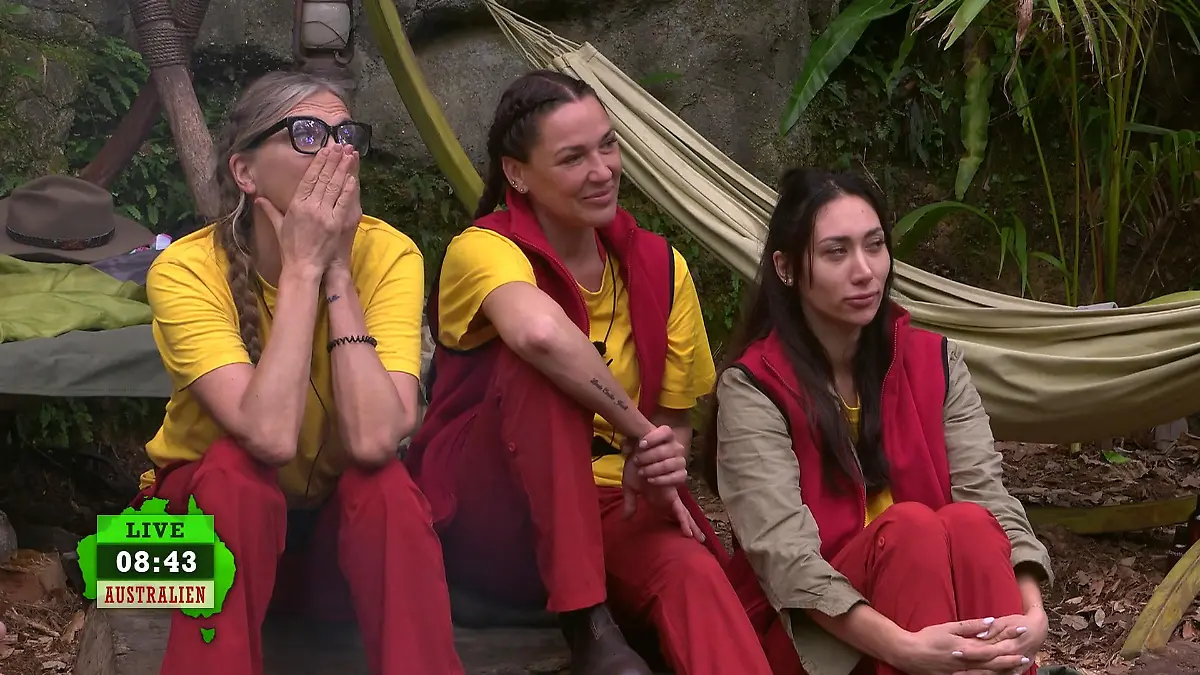 Wer wird in die nächste Dschungelprüfung geschickt? Team Gelb