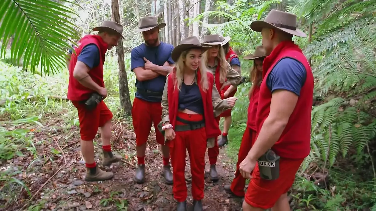 Käfer-Zoff zwischen Dschungelcamp-Stars Ariel und Patrick eskaliert "Du bist ein richtig ekelhafter Mensch"