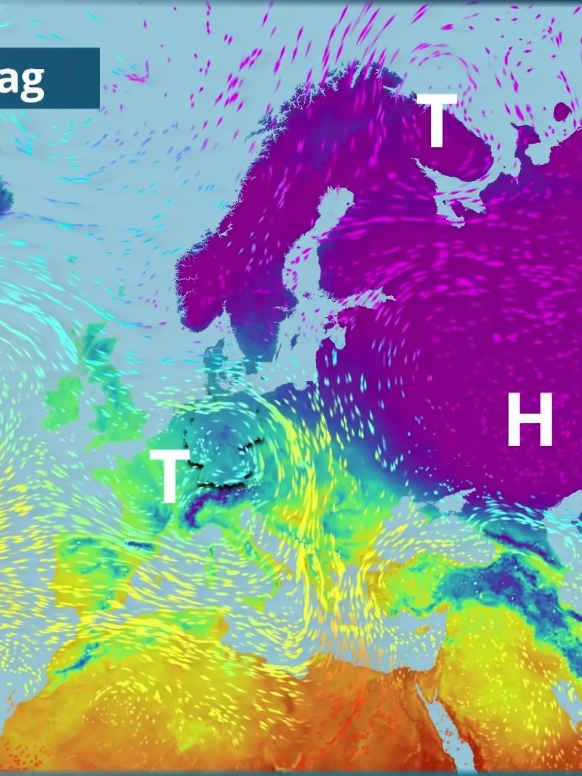 Bild zu: "Prognose vom 24. Januar"