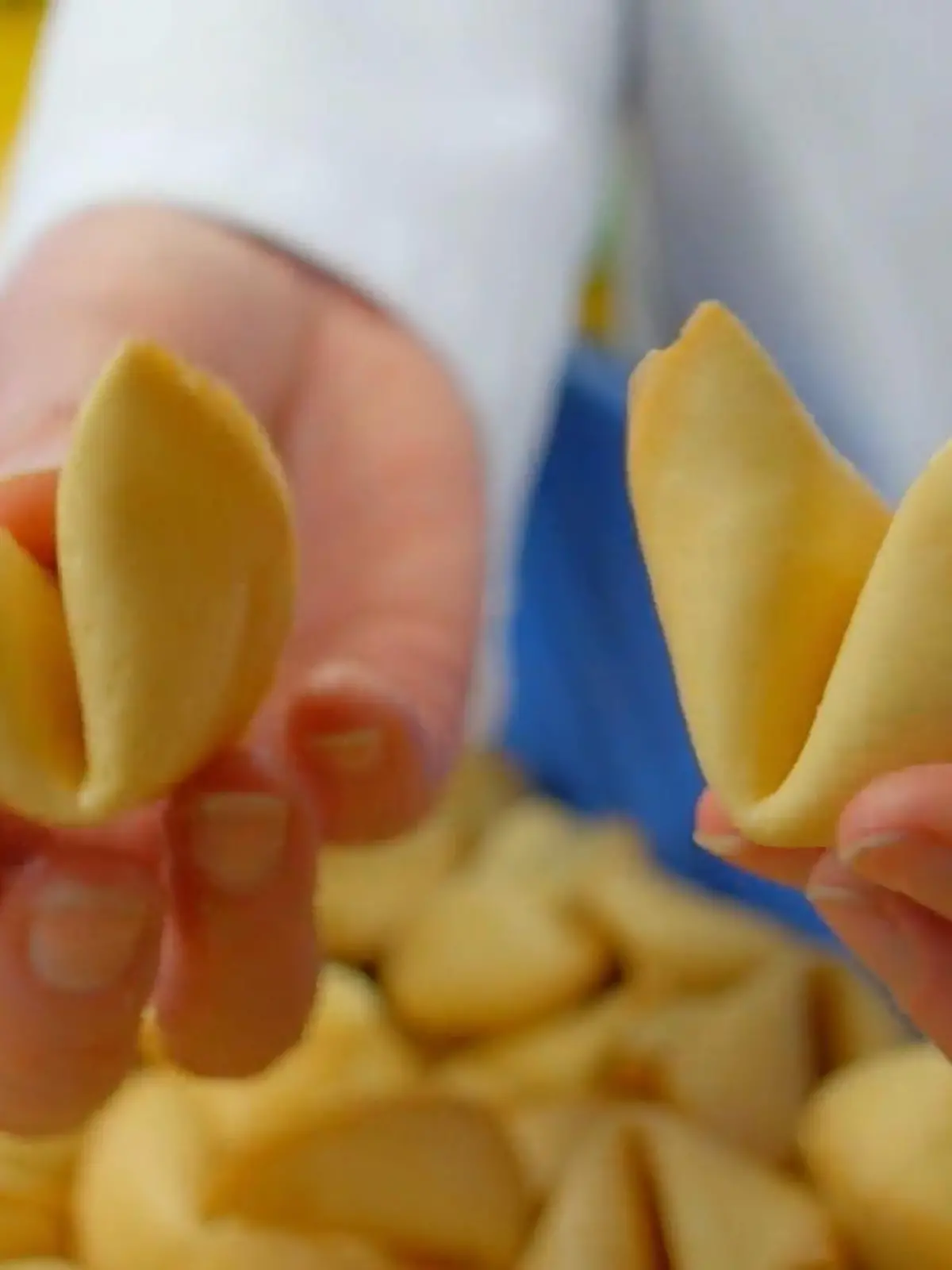 Bild zu: "Die Sprücheklopfer von Gondelsheim"