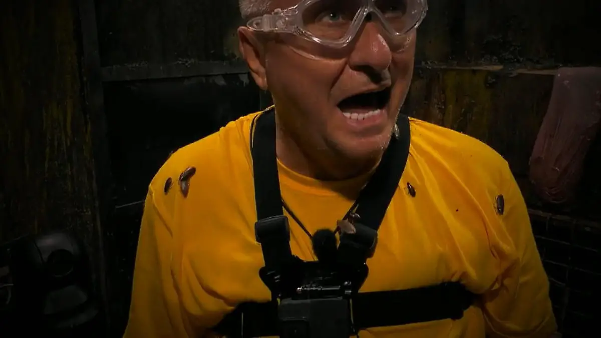 Gefühle, Gossip, Geschrei: Tag 2 im Dschungel Das wird wild!