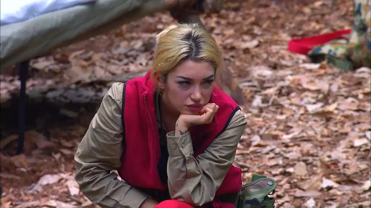 Ariel fordert Gil Ofarim heraus - Knallharte Fragen, die sich jeder stellt! Tacheles im Dschungelcamp 2026