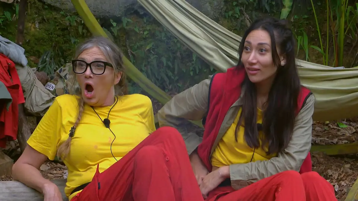 Von Eierlikör wird man schwul? Neue Erkenntnisse Fahrlehrer-Weisheit