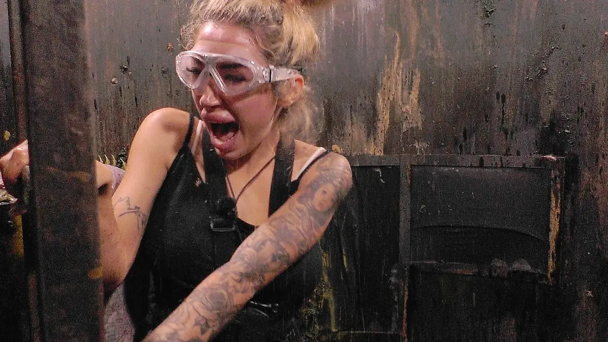 Wie Ariel die Dschungelprüfung zur Herausforderung für alle macht Dschungelcamp 2026: Kreisch-Alarm!