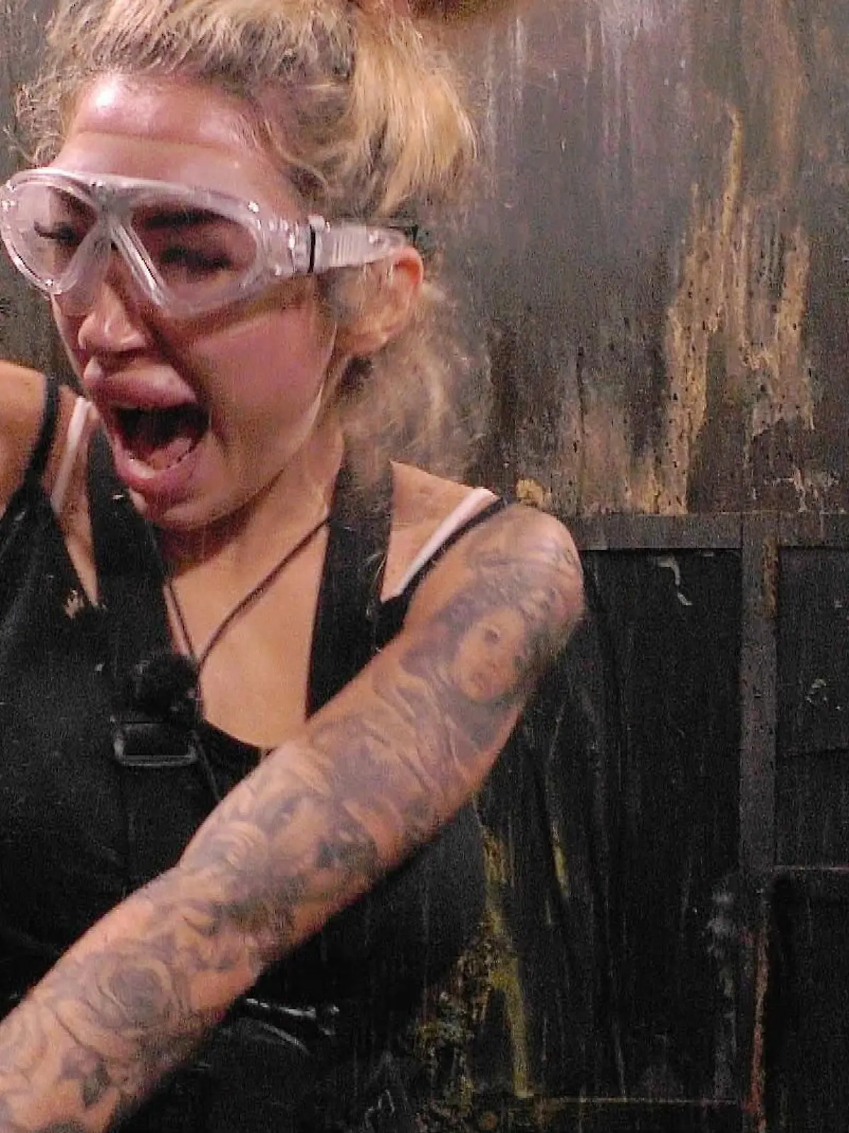 Bild zu: "Wie Ariel die Dschungelprüfung zur Herausforderung für alle macht"