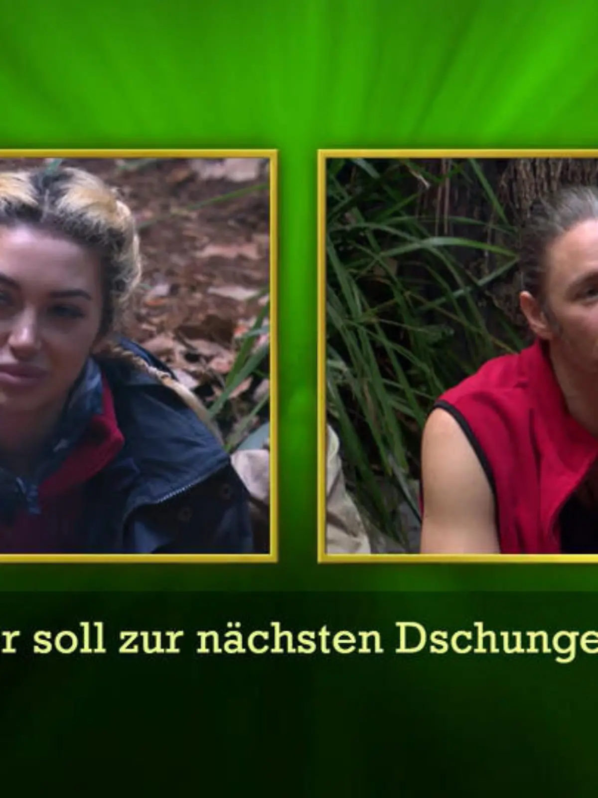 Bild zu: "Die nächste Dschungelprüfung trifft ... ?"