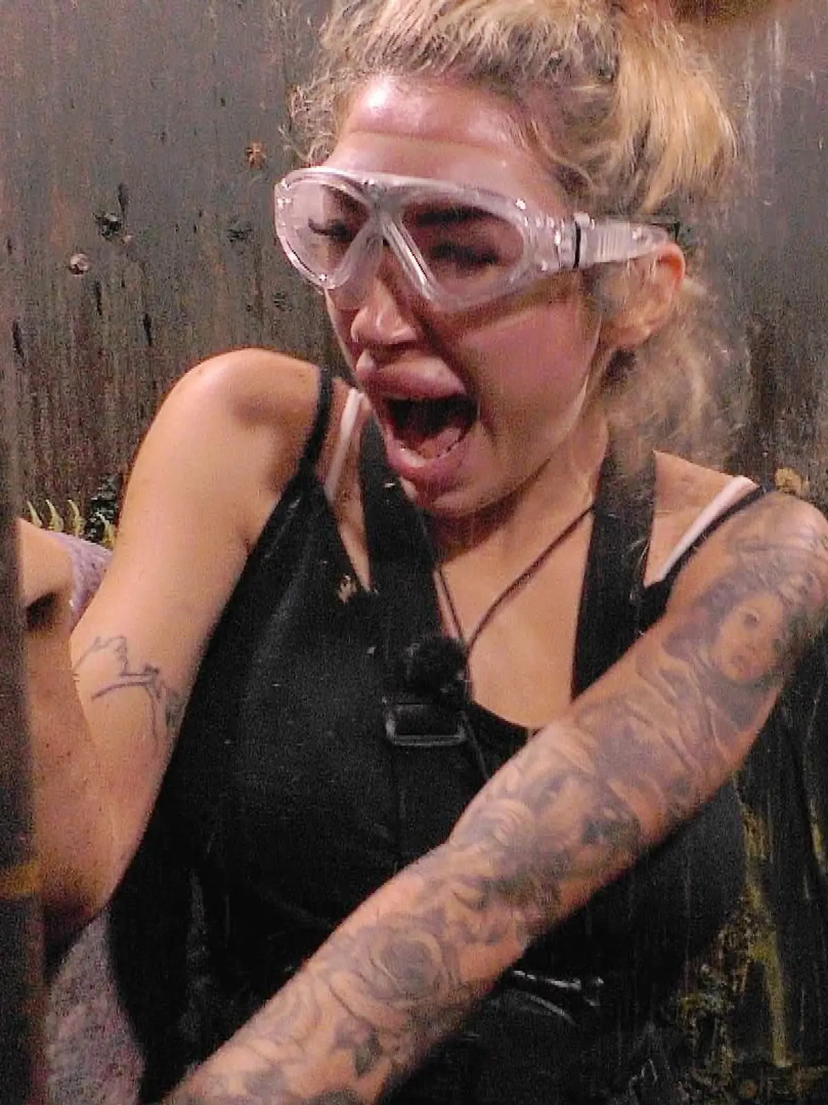 Bild zu: "Die Dschungelcamp-Bilder des Tages"