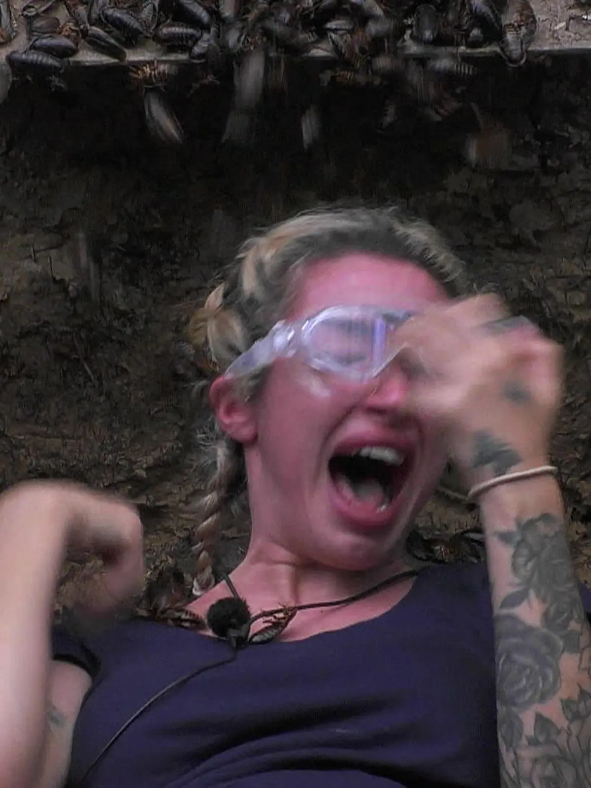 Bild zu: "AHHHH-riel ist zurück in der Dschungelprüfung – schafft sie diesmal die Sternenjagd?"