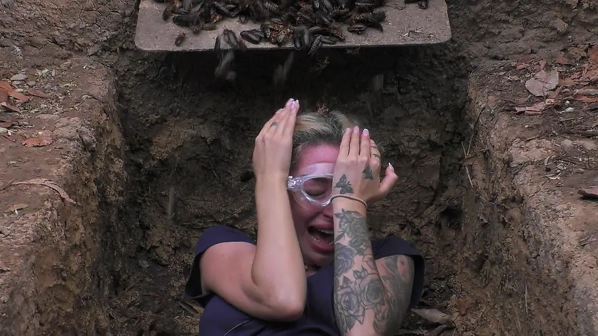 Alles nur Show? Was wirklich hinter Ariels Schrei-Attacken steckt Dschungelcamp: Prüfung abgebrochen!