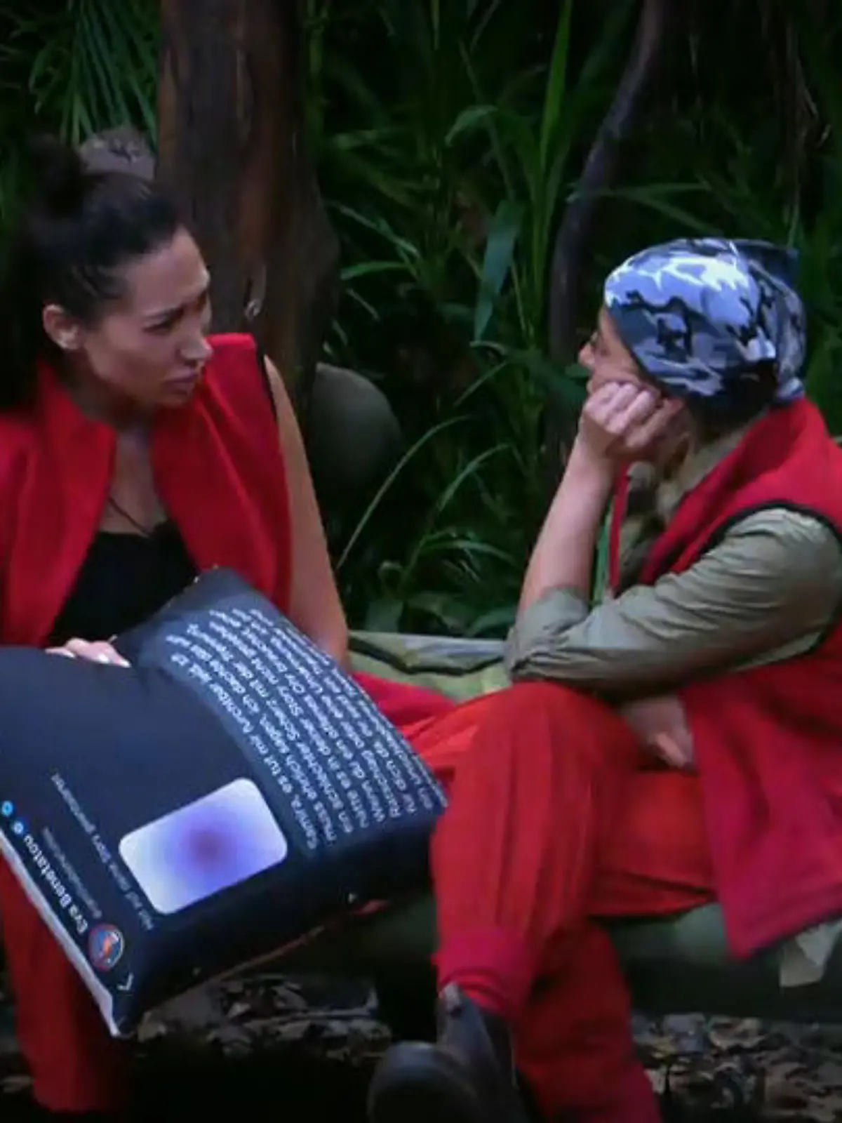 Bild zu: ""Schämst du dich nicht?" Tag 3 im Dschungel"