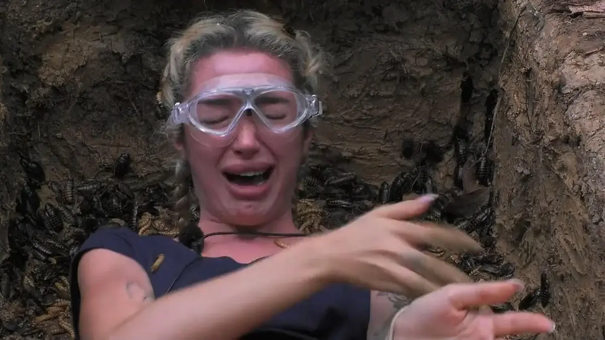 Ariel zurück in der Dschungelprüfung: Hält sie diesmal durch? Dschungelcamp 2026