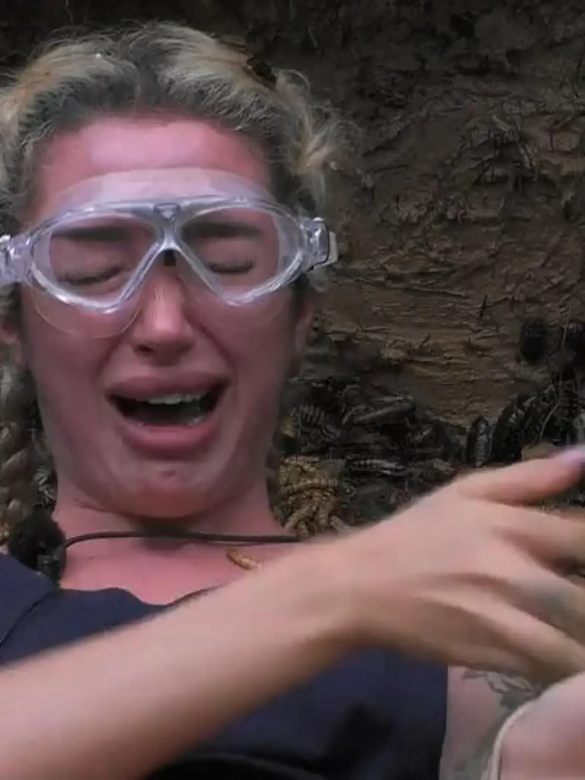 Bild zu: "Ariel zurück in der Dschungelprüfung: Hält sie diesmal durch?"