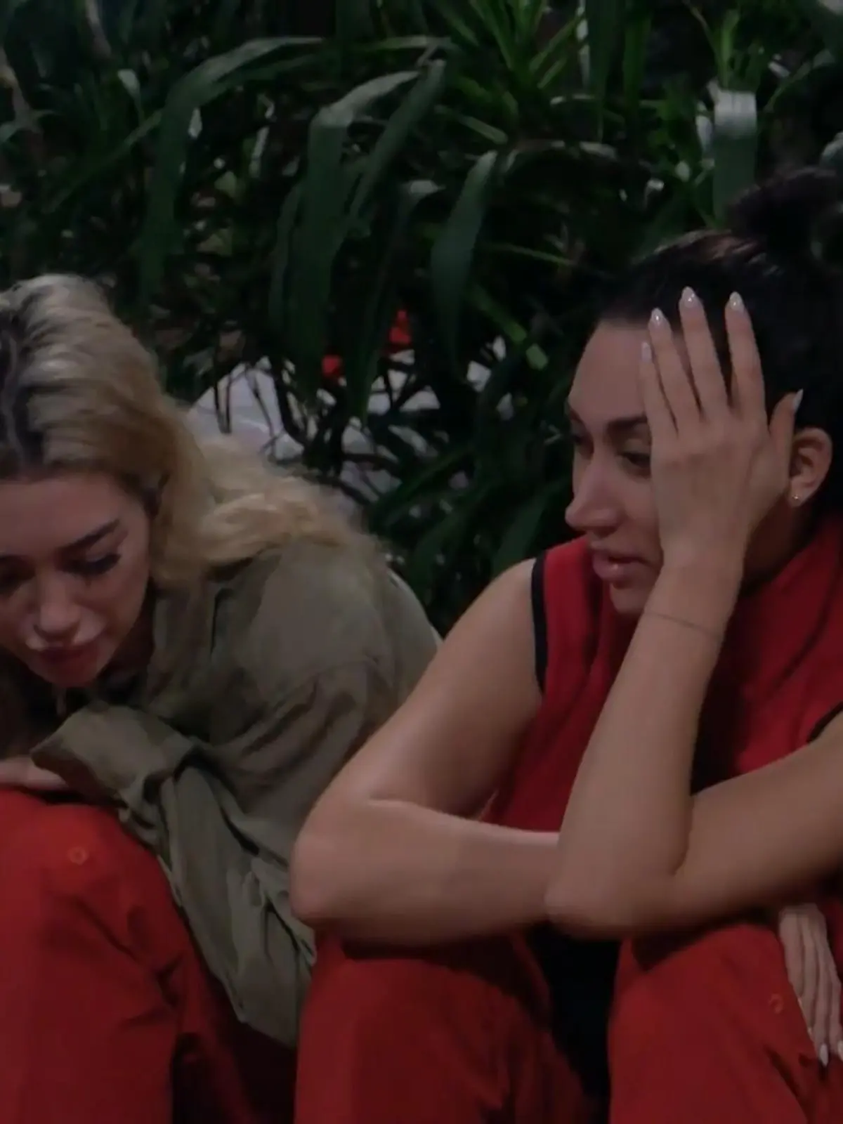 Bild zu: "Ariel: „Ohne Einsicht kann man eine Entschuldigung nicht ernst nehmen”"