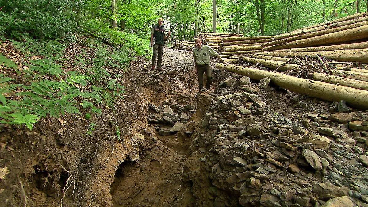 Förster begutachten einen metertiefen Graben in einem Waldstück in Nordrhein-Westfalen.