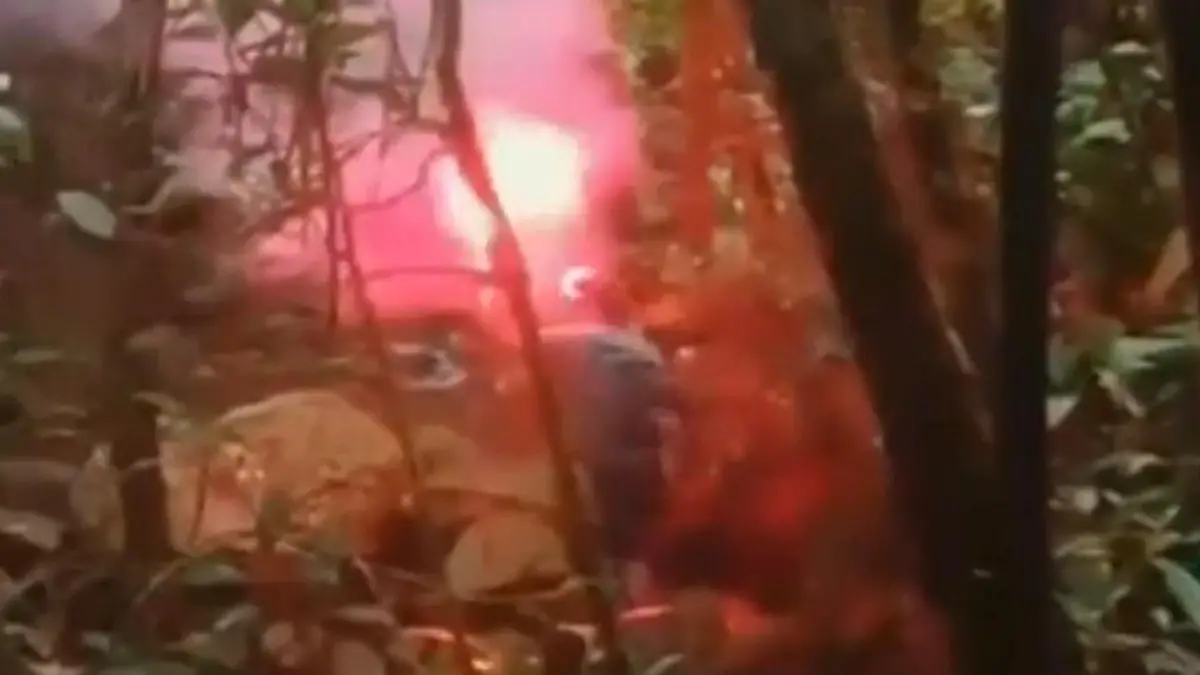 Sechs Tage im Dschungel vermisst! Radfahrer-Gruppe verirrt sich – DAS rettet sie „Hoffnung fast verloren"