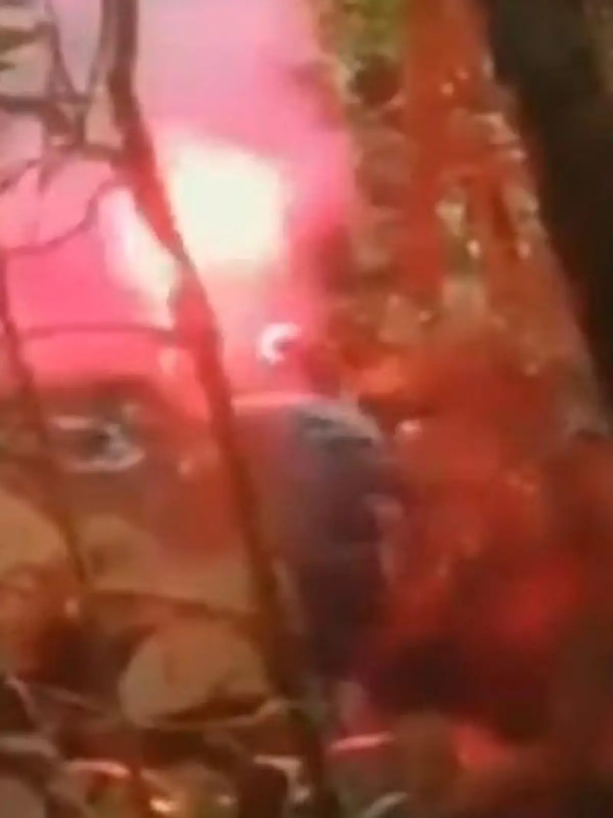 Bild zu: "Sechs Tage im Dschungel vermisst! Radfahrer-Gruppe verirrt sich – DAS rettet sie"