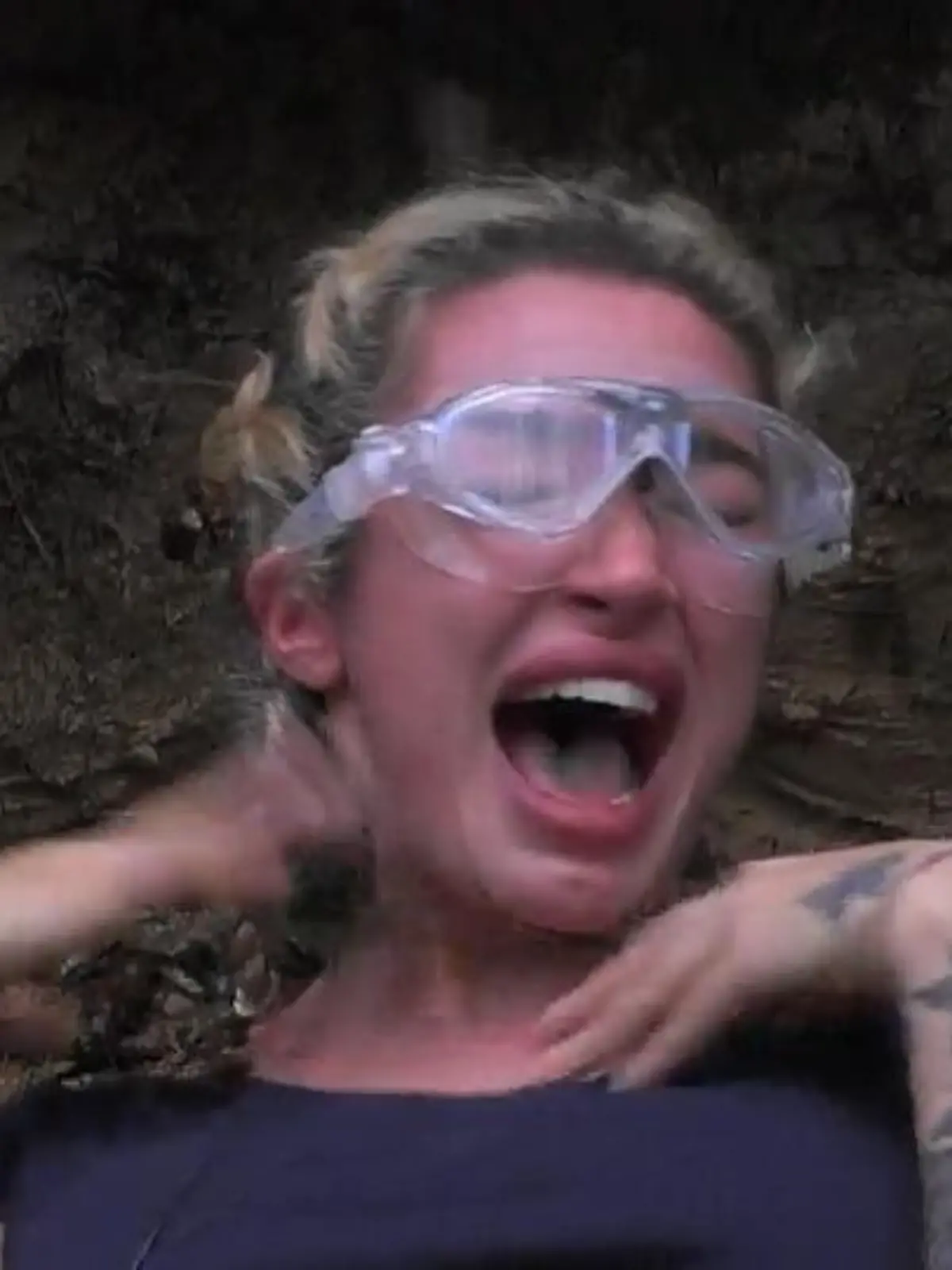 Bild zu: "AAAAAriels Vorgänger! Auch diese Camper schrien sich durch die Dschungelprüfung"