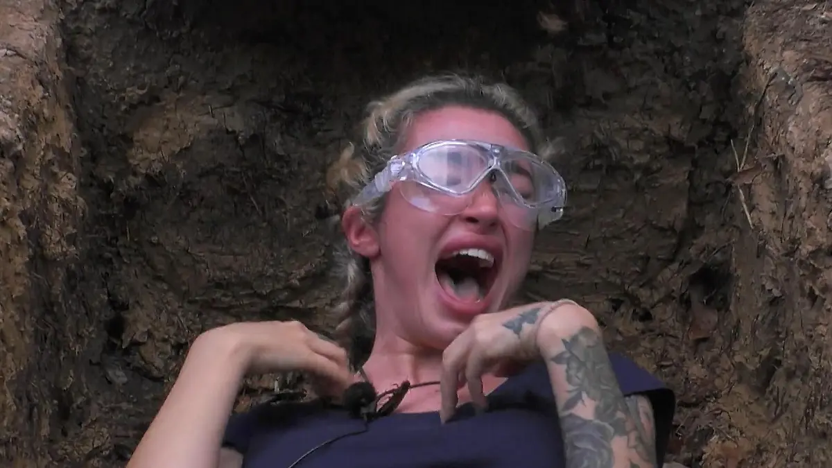 AAAAAriels Vorgänger! Auch diese Camper schrien sich durch die Dschungelprüfung Achtung, jetzt wird's laut!