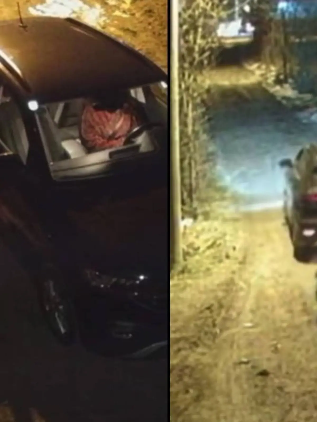 Bild zu: "Paar setzt Hund bei Eiseskälte aus – das Bettchen werfen sie ihm hinterher"