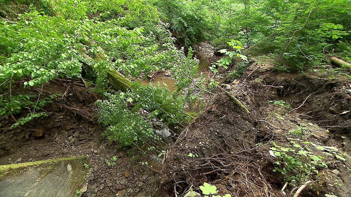 Viele Waldwege in NRW sind unterspült und durch umgestürzte Bäume nicht mehr passierbar.